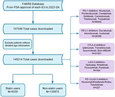 Association between statin use and immune-related adverse events in patients treated with immune checkpoint inhibitors: analysis of the FAERS database